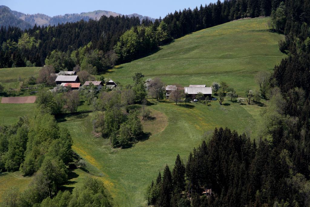 Farmstay Hisa Pecovnik Luče Zewnętrze zdjęcie